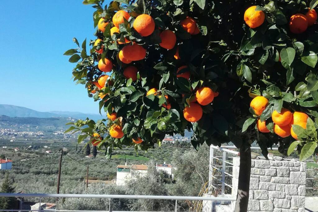شقة Nafplio, Hill With An Amazing View المظهر الخارجي الصورة